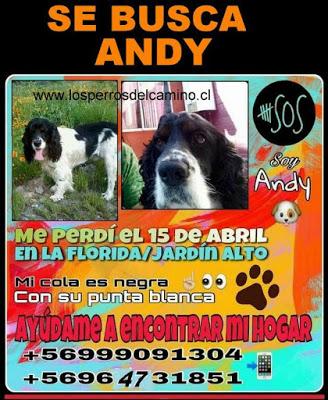 Andy...ayúdame