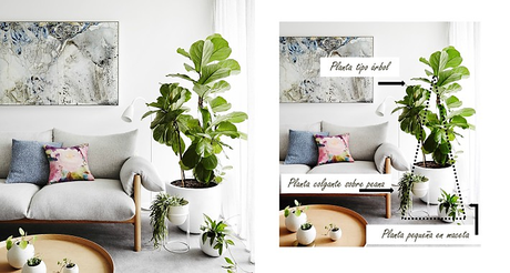 Cómo hacer composiciones con plantas Cómo hacer composiciones con plantas