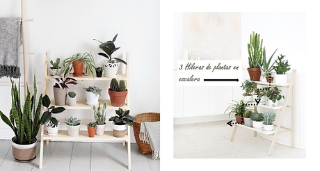 Cómo hacer composiciones con plantas Cómo hacer composiciones con plantas