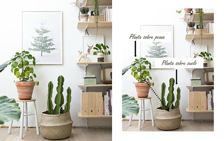 Cómo hacer composiciones con plantas Cómo hacer composiciones con plantas