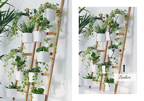 Cómo hacer composiciones con plantas Cómo hacer composiciones con plantas