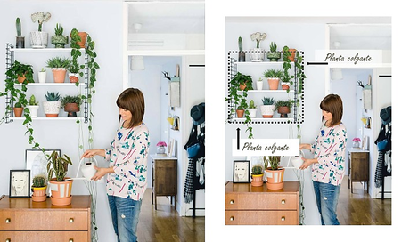 Cómo hacer composiciones con plantas Cómo hacer composiciones con plantas