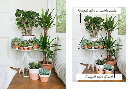 Cómo hacer composiciones con plantas Cómo hacer composiciones con plantas