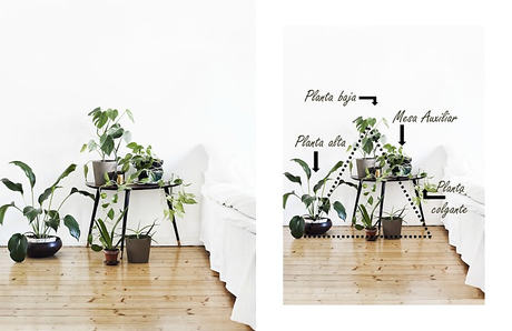 Cómo hacer composiciones con plantas Cómo hacer composiciones con plantas