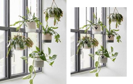 Cómo hacer composiciones con plantas Cómo hacer composiciones con plantas