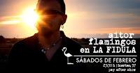 Conciertos de Aitor Flamingos en La Fidula Conciertos de Aitor Flamingos en La Fidula