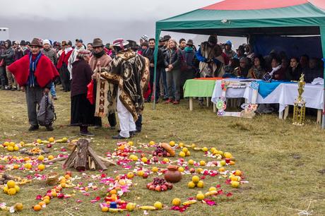 Festival de los cuvivíes 2017