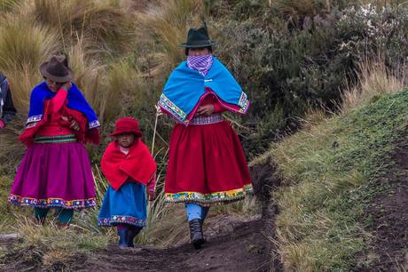 Festival de los cuvivíes 2017