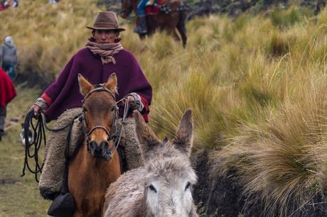 Festival de los cuvivíes 2017