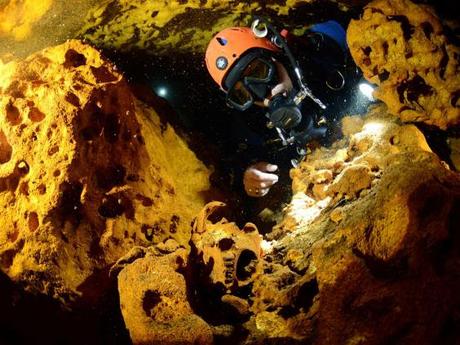 Un buzo observa un cráneo de animal en el sistema de cuevas subacuáticas Sac Actun durante la exploración