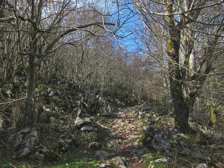 CRUZ DE PRIENA Y VEGA DE ORANDI DESDE COVADONGA