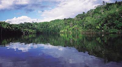 COMPLEJO LAGOS TARAPOTO DECLARADO COMO PRIMER HUMEDAL RAMSAR DE AMAZONIA COLOMBIANA