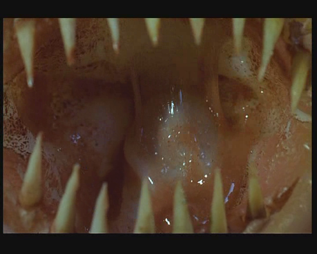 Kondom des Grauens - 1996 Kondom des Grauens - 1996