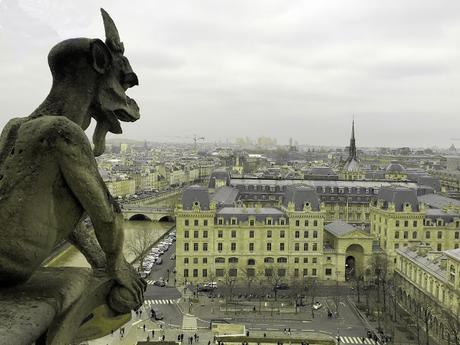 Subiendo a Notre Dame