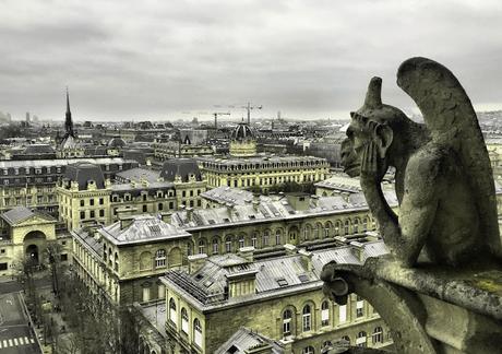 Subiendo a Notre Dame