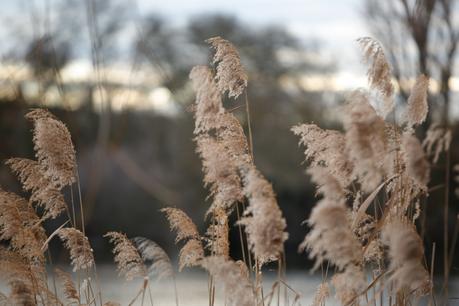 Classy and classic (OOTD) Classy and classic (OOTD)