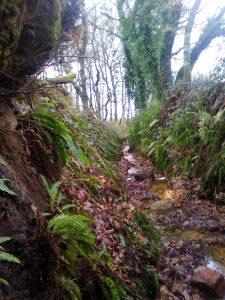 Ahorra en la factura de la luz, eficiencia energética, contamina menos.