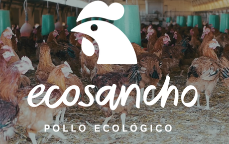 Carnes ecológicas en mi cesta de la compra pollo ecologico
