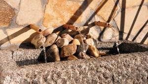 Aticos, un jardín de alturas