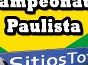 Botafogo Palmeiras Vivo Campeonato Paulista Domingo Enero 2018