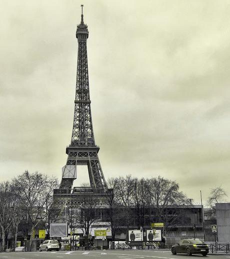 La férula de la Tour Eiffel