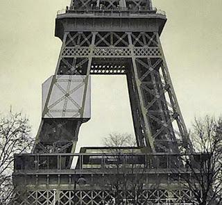 La férula de la Tour Eiffel