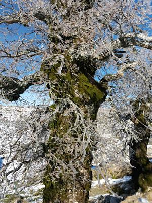 Snowrunning Sierra de las Nieves