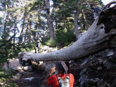 Snowrunning Sierra de las Nieves