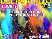 Villanueva pardillo trae holi carrera polvos colores