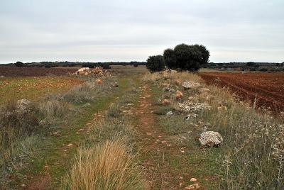 Via 29 del Itinerario de Antonino ( Laminium - Titulciam )