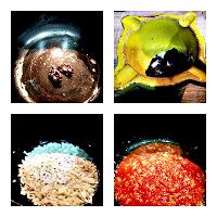 Lentejas con acelgas