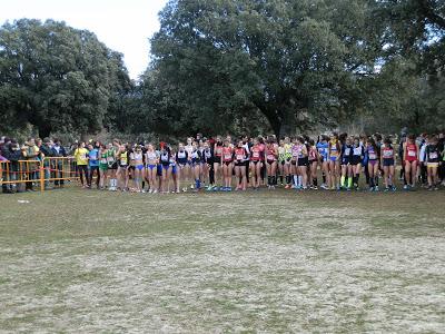 XXXIII CAMPEONATO DE MADRID DE MENORES Y VETERANOS CAMPO A TRAVÉS- CRITERIUM JUVENIL