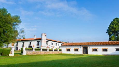 CENTROS PRIVADOS DE DESINTOXICACION: NARCONON