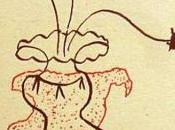 Romancero gitano Federico García Lorca,Descargar gratis