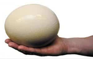 Misterios al descubierto III – Personajes olvidados en el sótano del mundo que deben ser rescatados