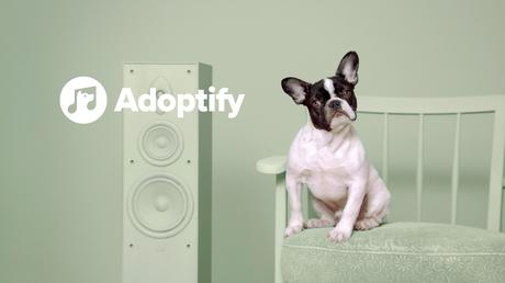 Adoptify: una web que conecta perros abandonados con dueños con el mismo gusto musical Adoptify: una web que conecta perros abandonados con dueños con el mismo gusto musical