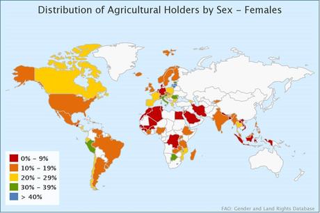Mientras las ciudades crecen Mientras las ciudades crecen