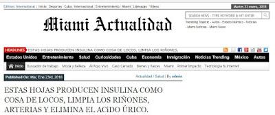 ESTAS HOJAS PRODUCEN INSULINA COMO COSA DE LOCOS, LIMPIA LOS RIÑONES, ARTERIAS Y ELIMINA EL ACiDO ÚRICO.