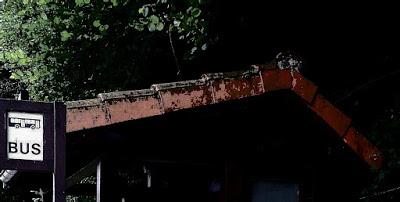 LÍNEA 29 (capítulo quinto y último) LÍNEA 29 (capítulo quinto y último)