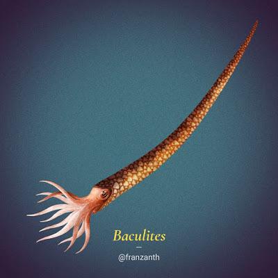 Los cefalópodos extintos de Franz Anthony Los cefalópodos extintos de Franz Anthony