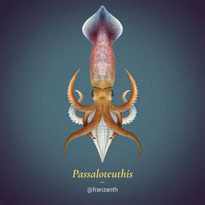 Los cefalópodos extintos de Franz Anthony Los cefalópodos extintos de Franz Anthony