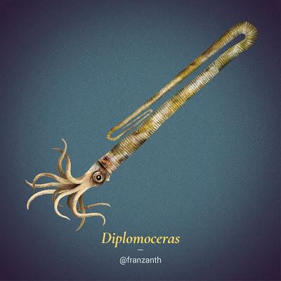 Los cefalópodos extintos de Franz Anthony Los cefalópodos extintos de Franz Anthony