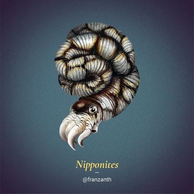 Los cefalópodos extintos de Franz Anthony Los cefalópodos extintos de Franz Anthony