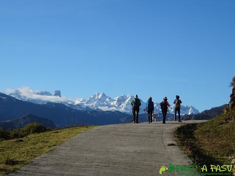 Picos de Europa desde Peñamellera Alta