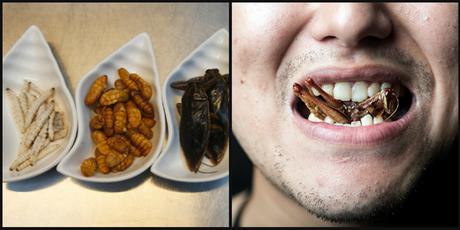 #Gastronomia:   Fritos y en salsa, los #insectos son el principal ingrediente del #menú en #Bangkok