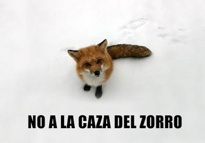 Carta a un zorro de Dozón