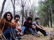 Dama Viento Apolo