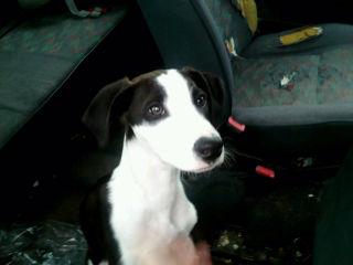 ¡¡¡ NO PUEDO SEGUIR VIVIENDO ASÍ !!!