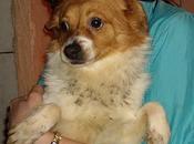 Roby, “familia” tiene malas condiciones, urgente!!