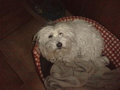 A CARPI LE ECHAN DE SU HOGAR.